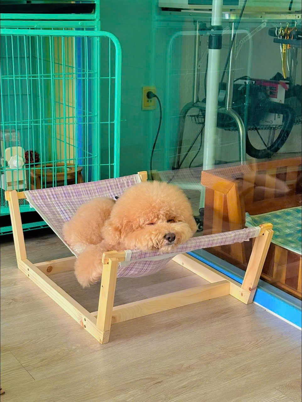 Võng cho thú cưng siêu cute