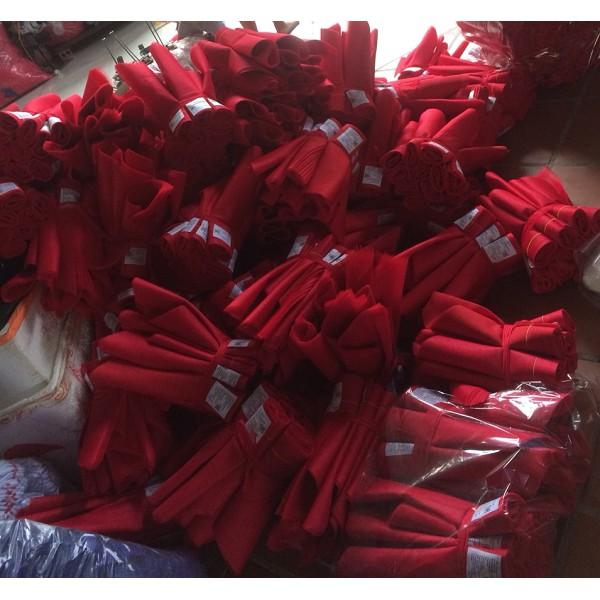 10 khăn quàng đỏ học sinh
