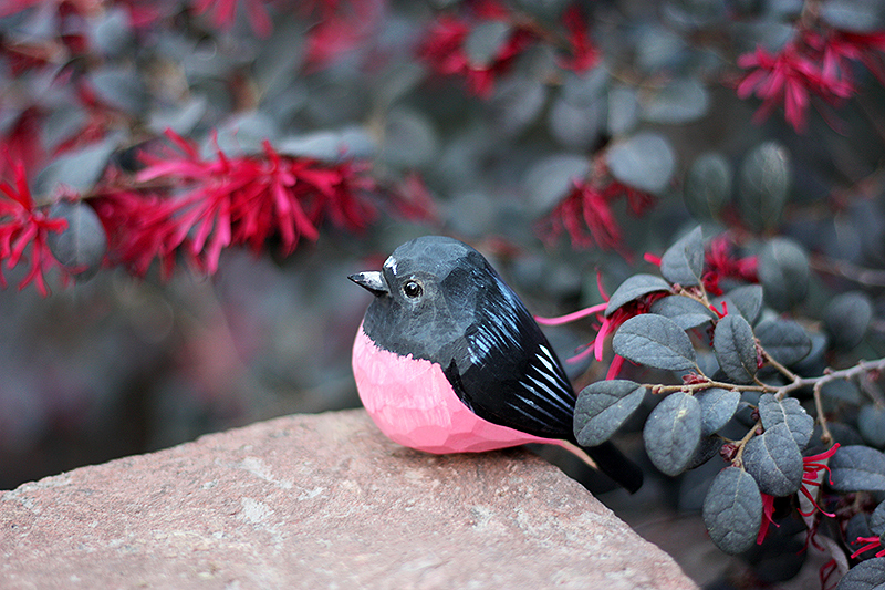 Tượng Chim Gỗ Pink Robin