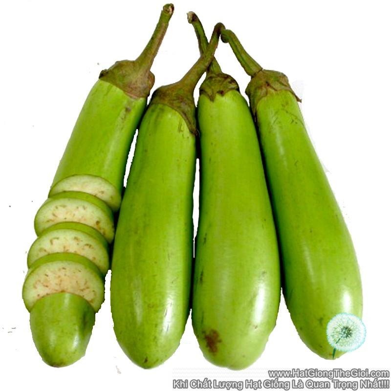 0.5Gr Hạt Giống Cà Xanh Mỡ Dài