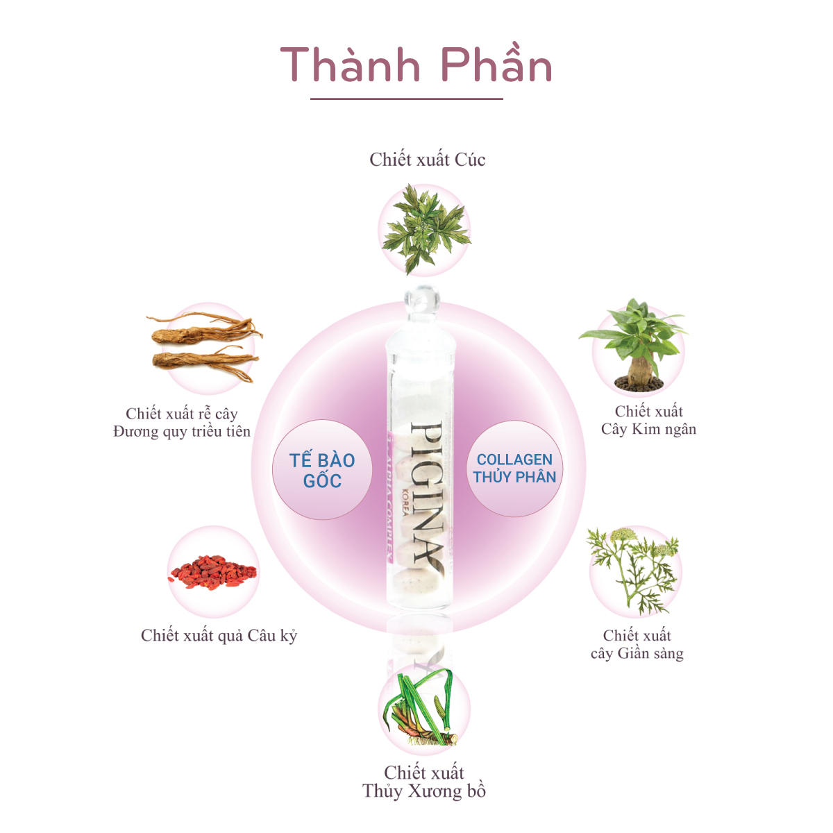 VIÊN ĐẶT PHỤ KHOA TỐT NHẤT VIÊN ĐĂT SE KHÍT PIGINA KOREA