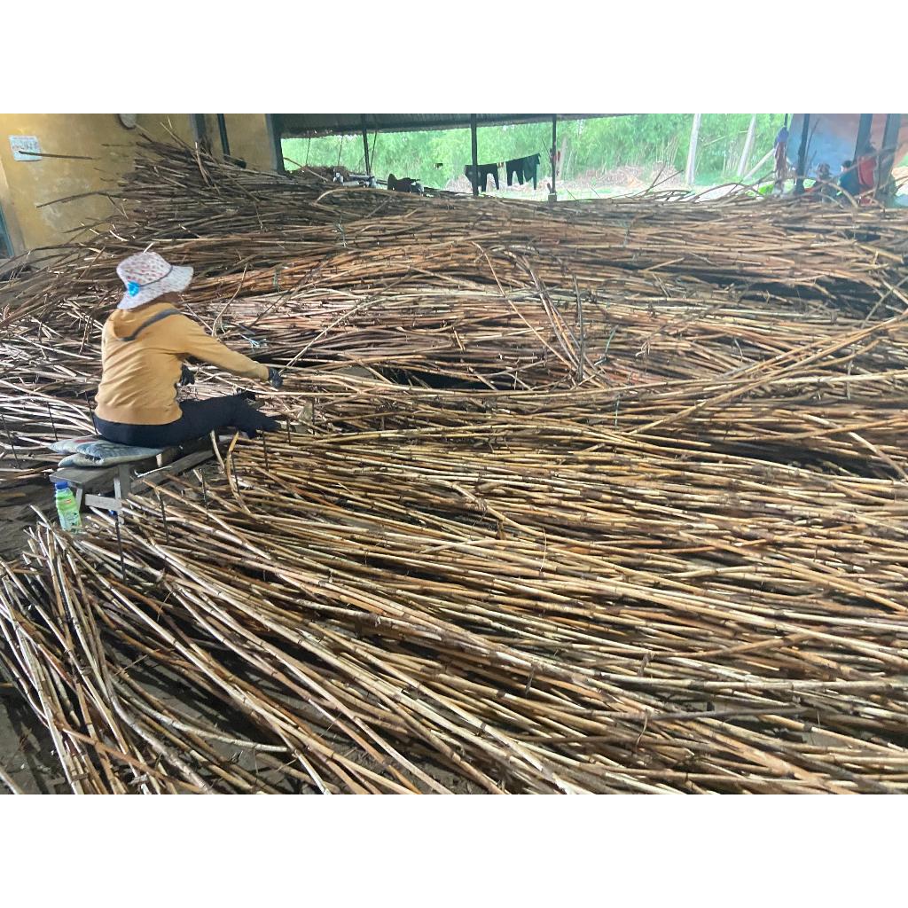 VỎ MÂY CHÀ TINH 1 LẦN- 2 LẦN 6-7 MM- LẠT MÂY CHÀ QUẤN BÀN GHẾ, ĐAN HÀNG THỦ CÔNG MỸ NGHỆ