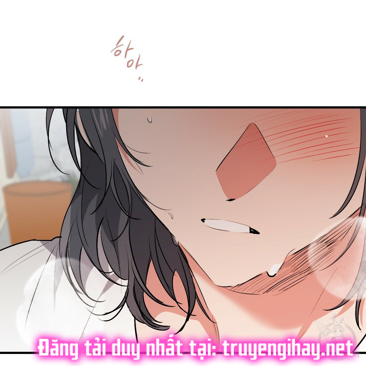 những chú thỏ của hapypy chapter 44 41