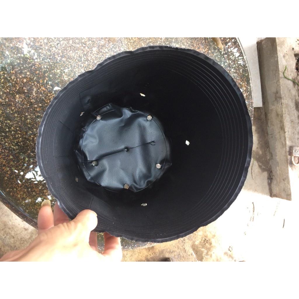 500GRAM TÚI BẦU TRÒN ƯƠM CÂY 12X10 -TÁI SỬ DỤNG NHIỀU LÂN