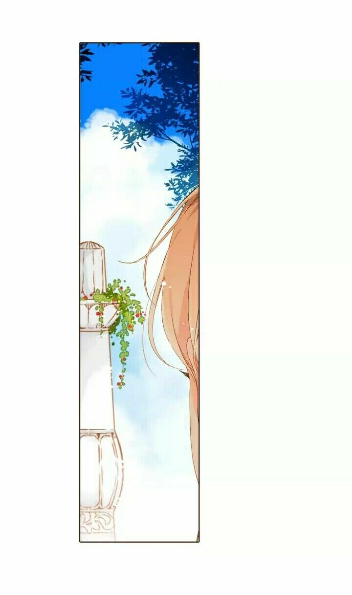 Tình yêu là màu hoa anh thảo chapter 28.2 2