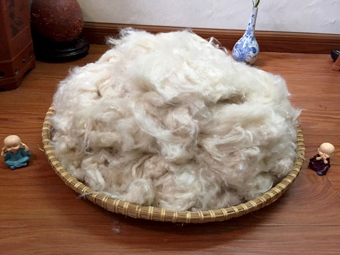Hàng thủ công cao cấp ZAMBALA - Bồ đoàn tọa cụ đệm, thảm, gối ngồi thiền bằng bông gạo tự nhiên