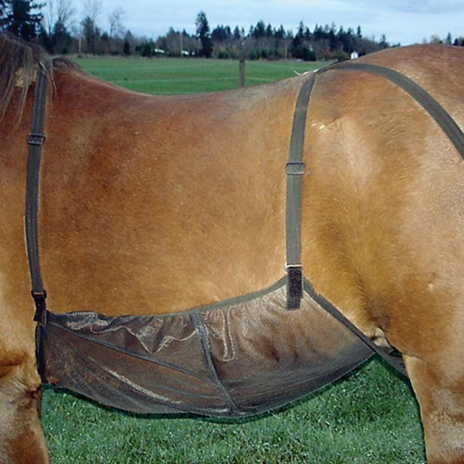 Horse Bug Fly Sheet Stretch Rug