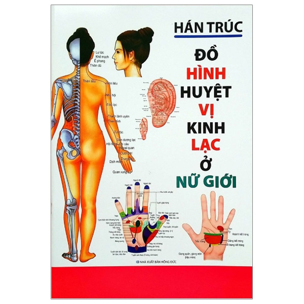 Đồ Hình Huyệt Vị Kinh Lạc Ở Nữ Giới (Tái Bản 2019)