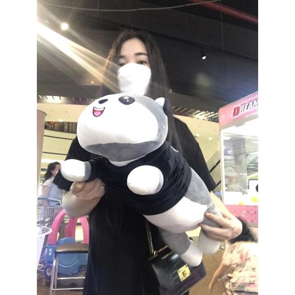 Chó bông Husky, gối ôm nhồi bông mặc áo Every day đáng yêu