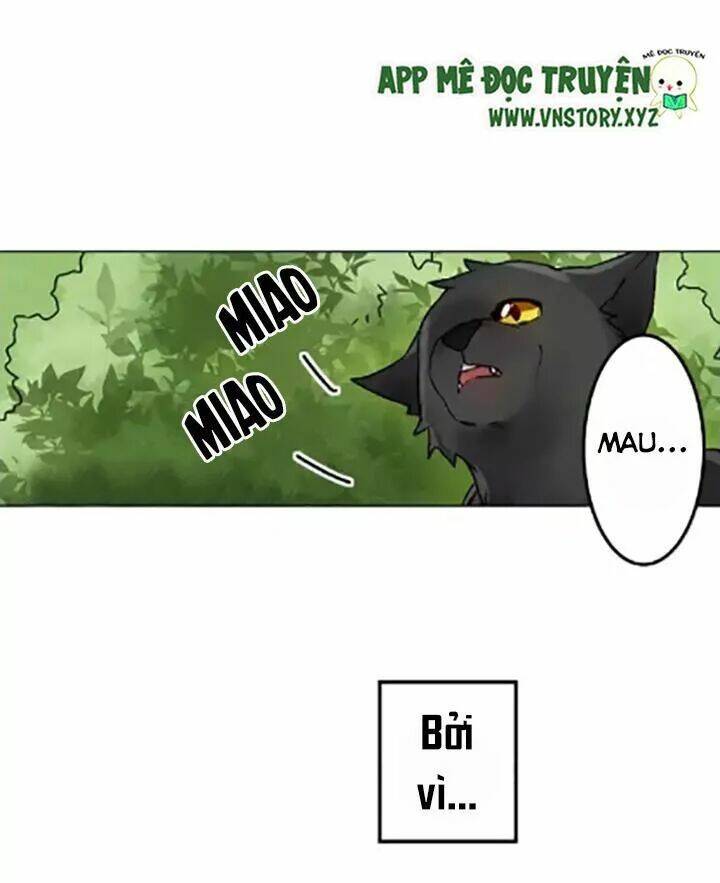 ngàn vạn nụ hôn đầu chapter 1 33