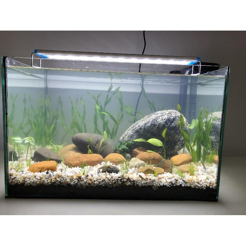 Sỏi 3 màu trang trí bể cá - Sỏi trải nền bể cá - Hồ cá cảnh - tiểu cảnh - bể thủy sinh