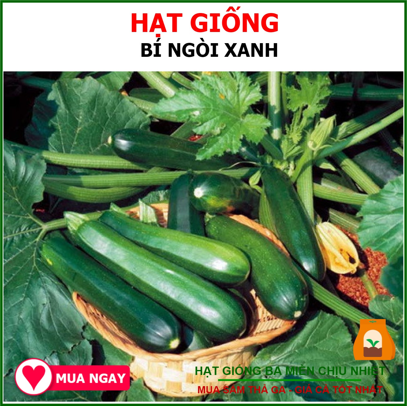 Hạt Giống Bí Ngòi Xanh Gói 2gram Sen Vàng