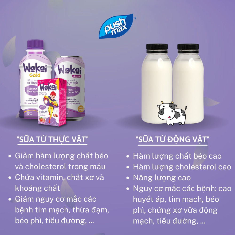 Thùng 24 Lon Sữa Chua Uống Từ Thực Vật Wakai Active (250ml x 24 lon)