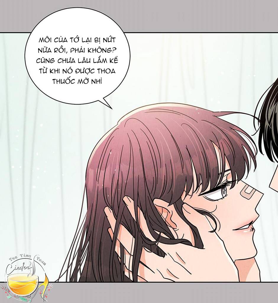 chào nhé, không làm thông gia nữa đâu! chapter 51 82