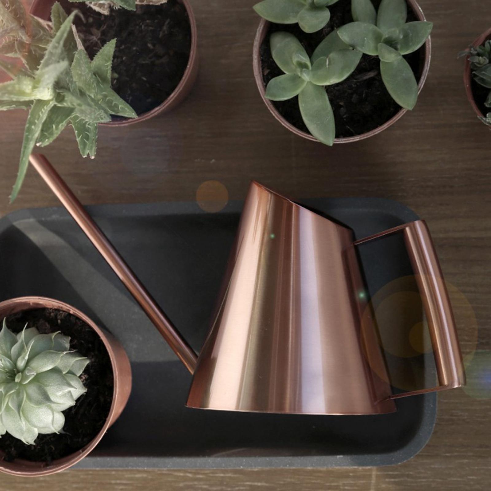 Small Indoor Watering Can for House Plants Stainless Steel Watering Pot with Long Spout