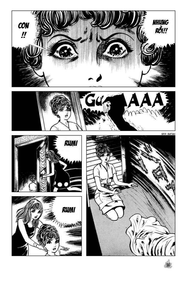 cô gái bất diệt chapter 1 42