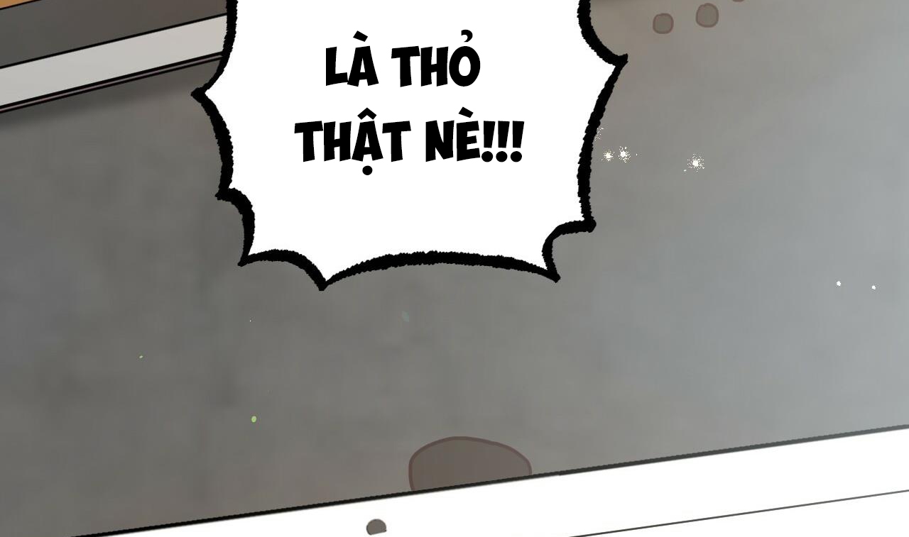 đàn thỏ của habibi chapter 48 74