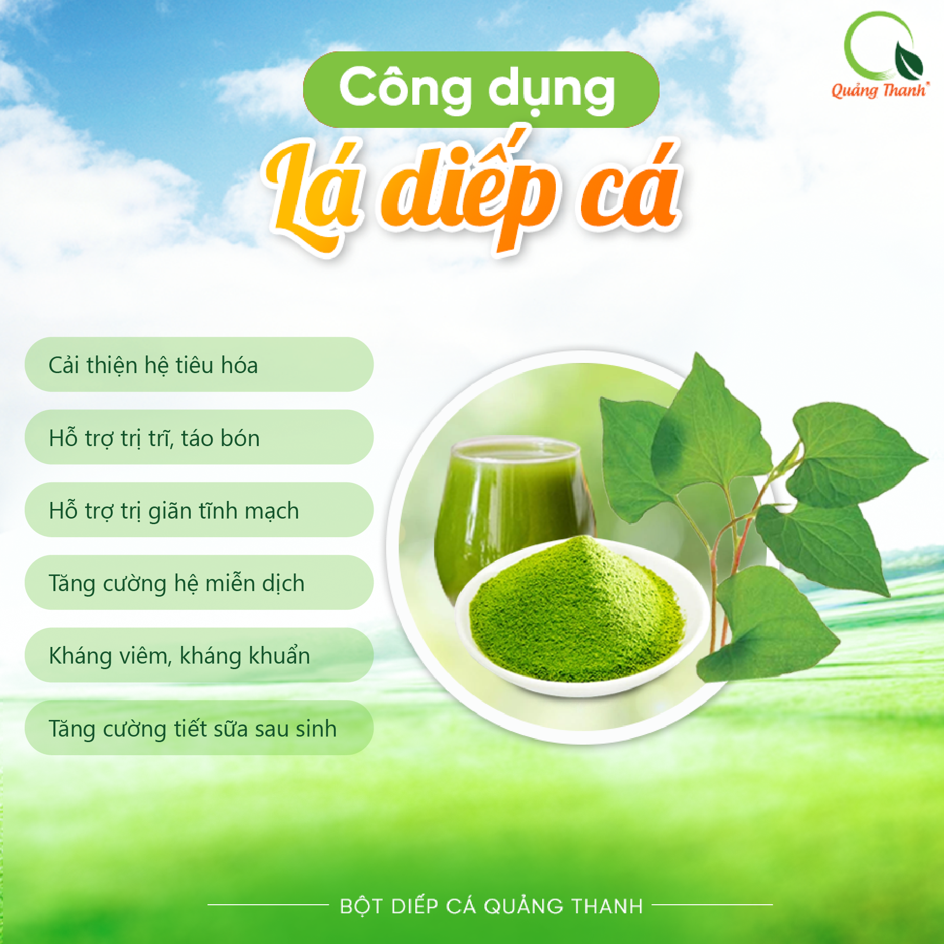 Bột Diếp Cá Sấy Lạnh Nguyên Chất - Giảm mở, giảm cân, kháng viêm, hỗ trợ trĩ, táo bón - Hộp 45g