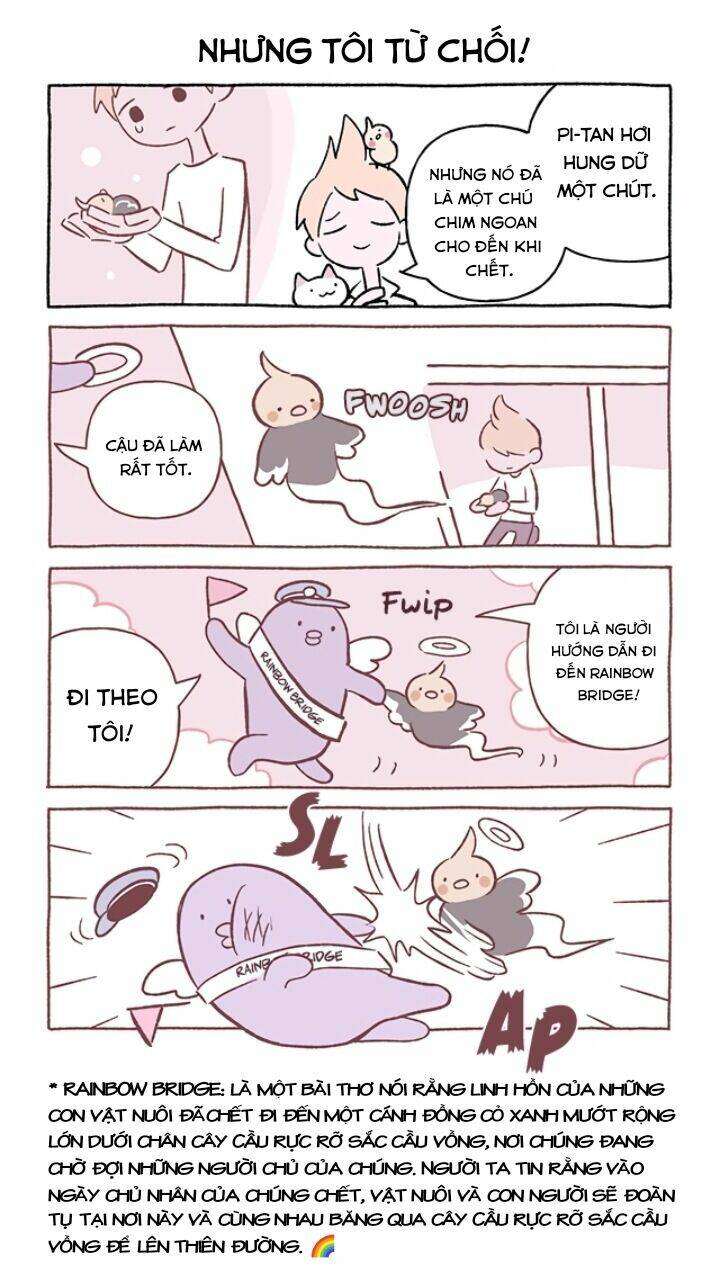 chú mèo kỳ diệu kyuu-chan chapter 689 3