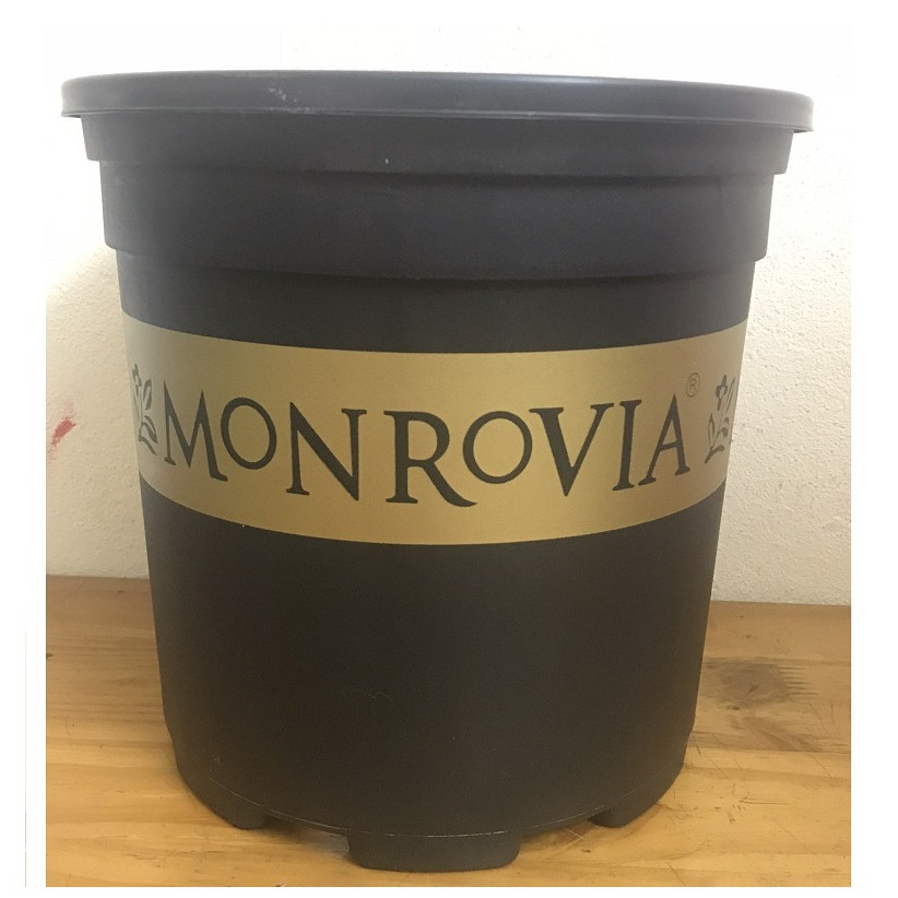 1 Chậu MONROVIA CH Garden 2Gal