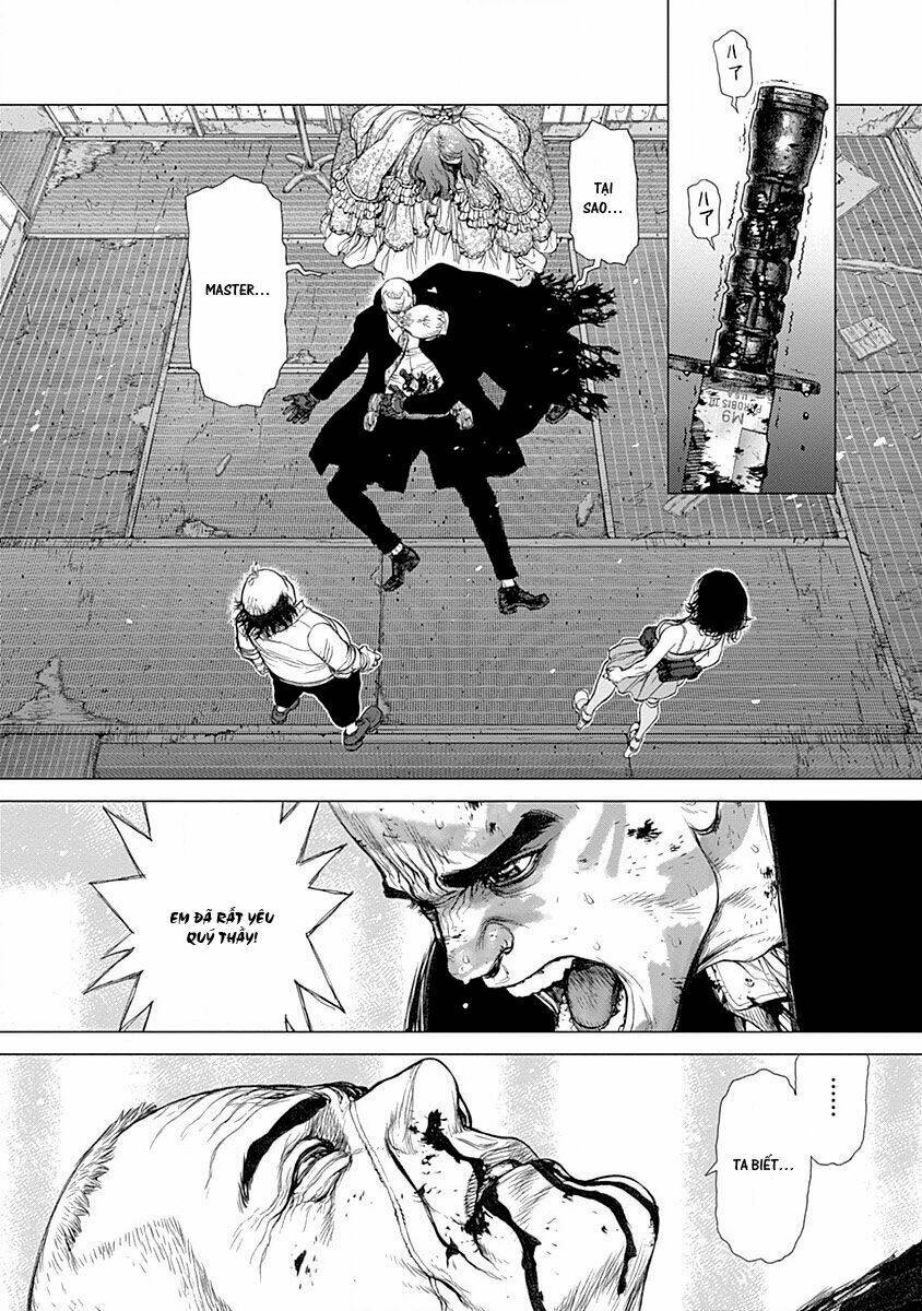 wallman chapter 22 33