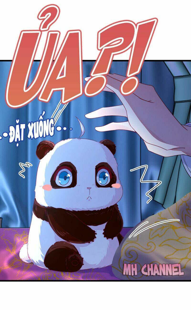 thiên thần gấu trúc muốn được ôm chapter 16 4