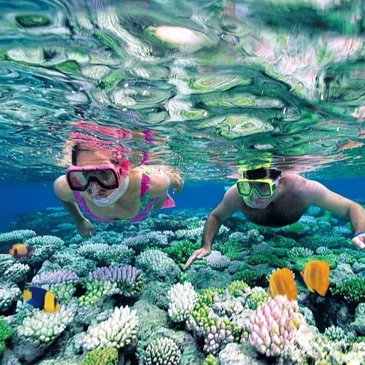 Nha Trang Tour 3 Đảo . Khởi Hành Hàng Ngày