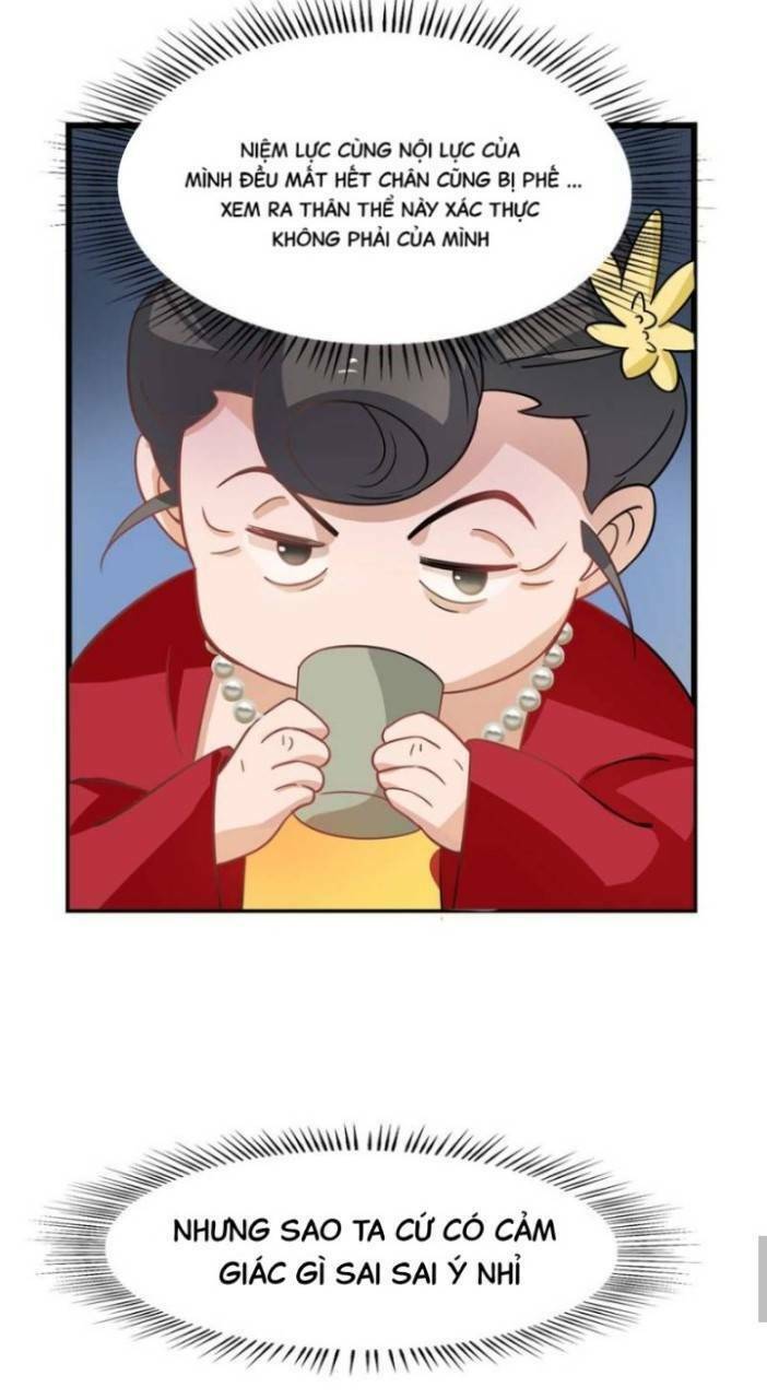 độc bộ thiên hạ: đặc công thần y chapter 164 17