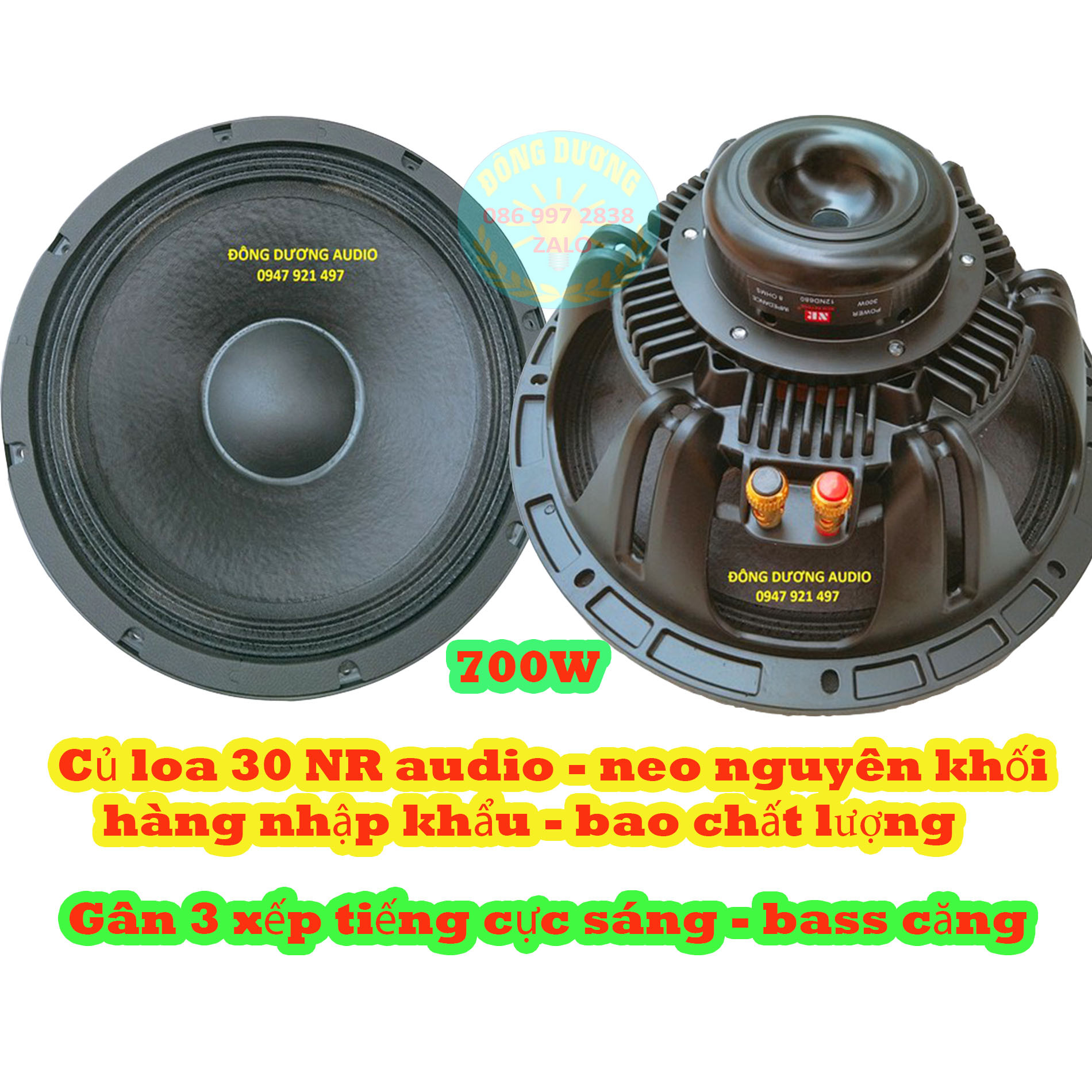 CỦ LOA 30 ( 3 TẤC ) NEO NGUYÊN KHỐI NR AUDIO - COIL DÂY DẸT 76MM - GÂN VẢI 3 XẾP - HÀNG NHẬP KHẨU