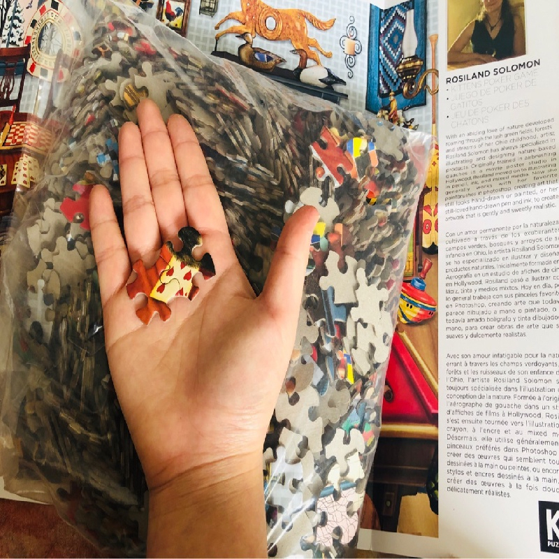 Tranh Ghép Hình 1000 Mảnh Người Lớn và Trẻ Em Không Gợi Ý, Jigsaw Puzzle Randomcut 1000 Pcs  CC02