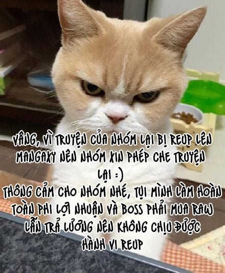 hợp đồng yêu đương chapter 2 1