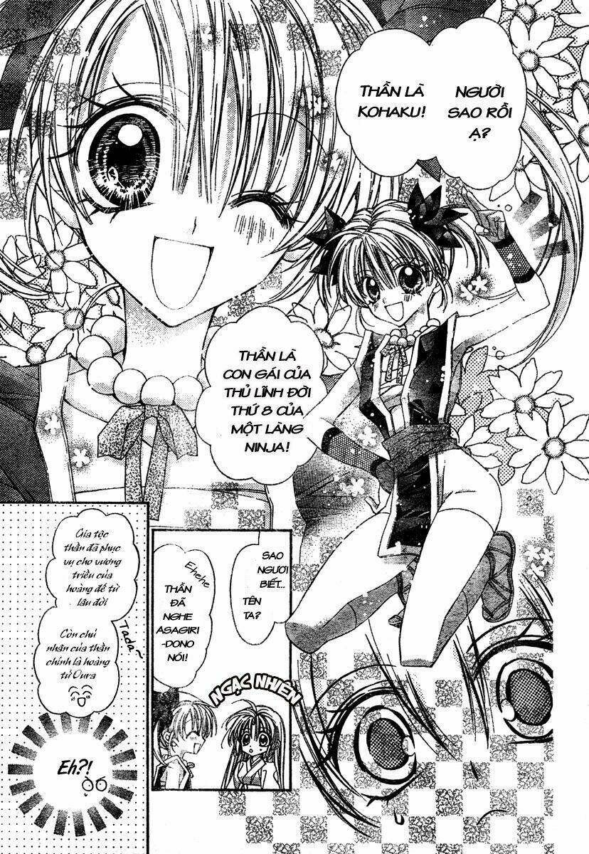 truyền thuyết công chúa hoa anh đào chapter 1 131