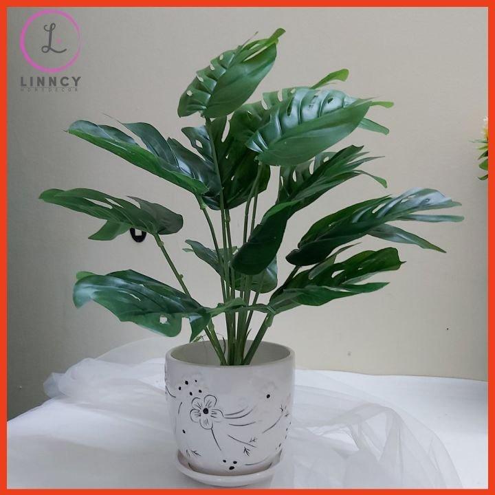 Chậu cây lá rùa nhân tạo cao 45-50cm trang trí bàn, kệ tủ, giá sách, làm đạo cụ chụp ảnh