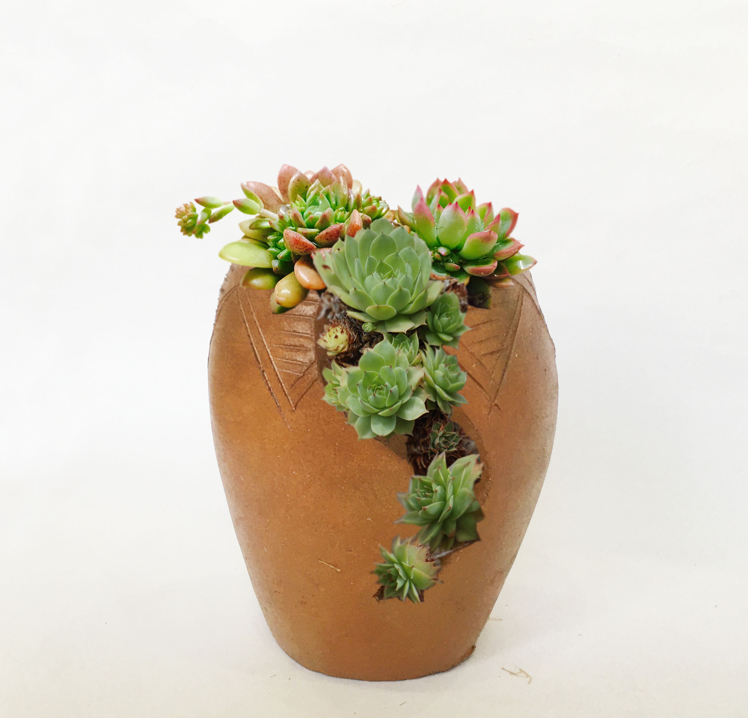 Chậu gốm đất nung trồng sen đá có khoét rãnh - Chậu gốm thủ công Chămpa Bàu Trúc, decor vintage