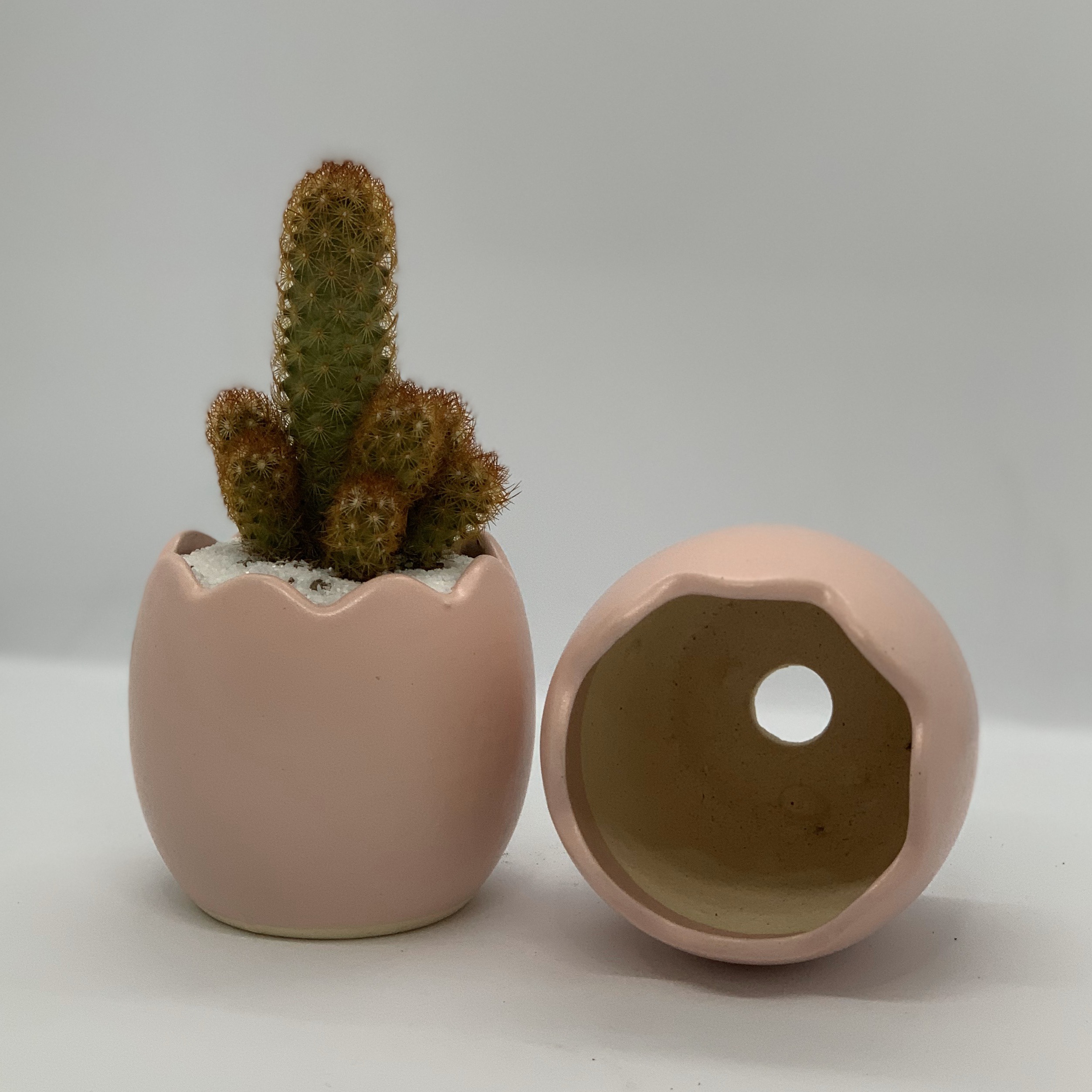 Chậu Sứ - 7x7x8 Cm - Mầu Hồng – Dáng Quả Trứng - Chậu Trồng Cây Mini, Cây Để Bàn, Tiểu Cảnh, Sen Đá & Xương Rồng