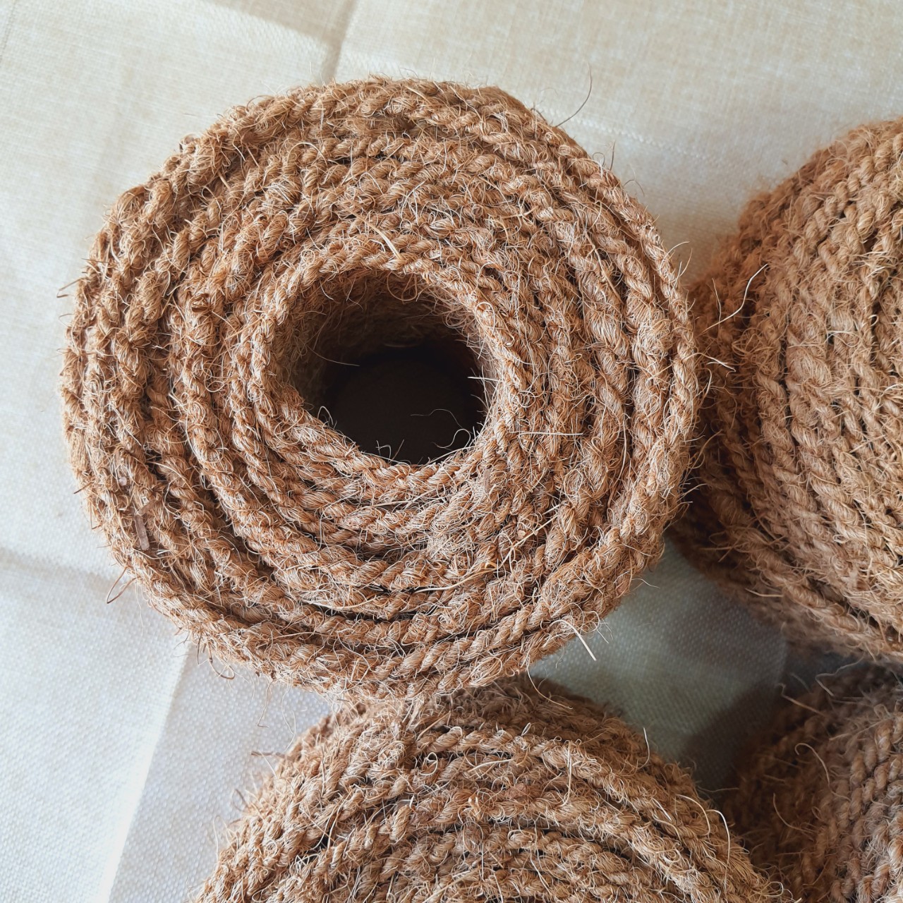 DÂY XƠ DỪA CHO GIÀN TRẦU BÀ LEO