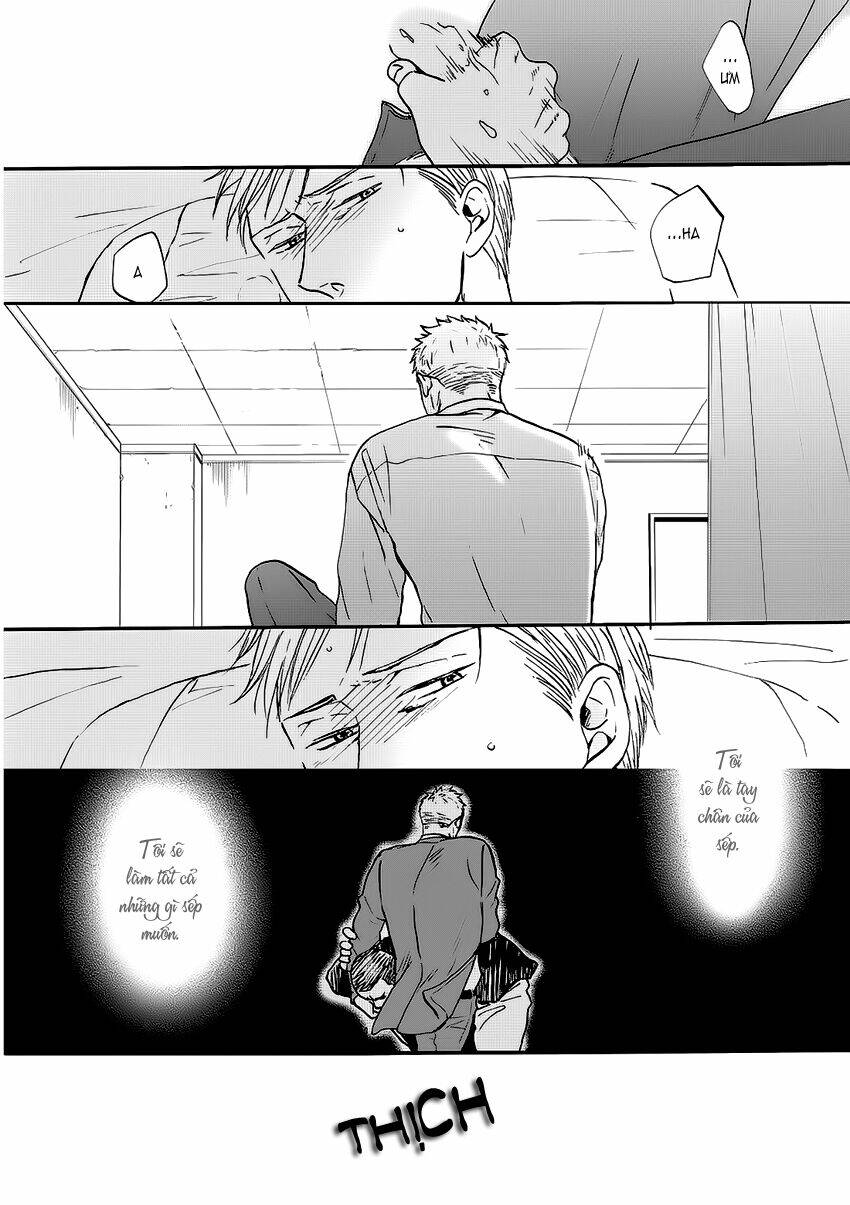 saezuru tori wa habatakanai chapter 13 11