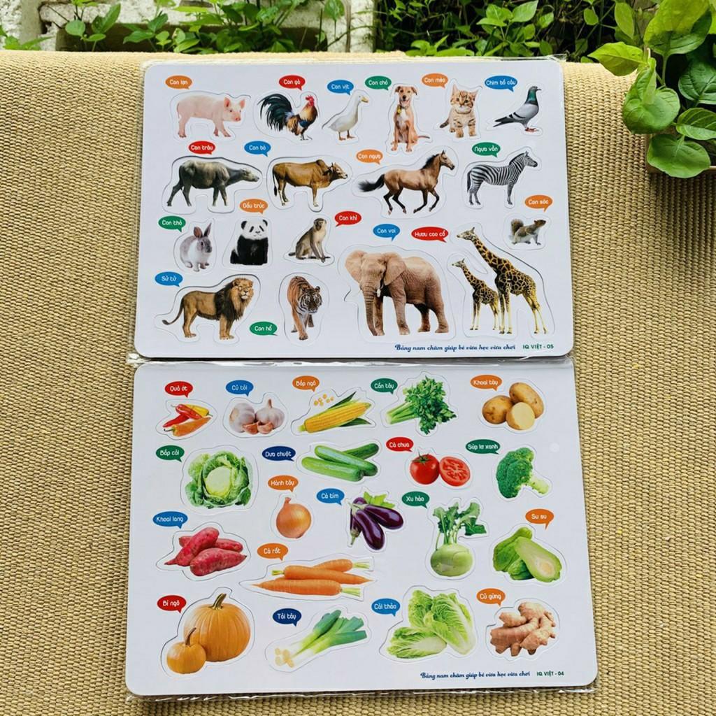 Bảng Dán Hình Nam Châm Chữ Cái, Chữ Số, Động Vật, Rau Củ
