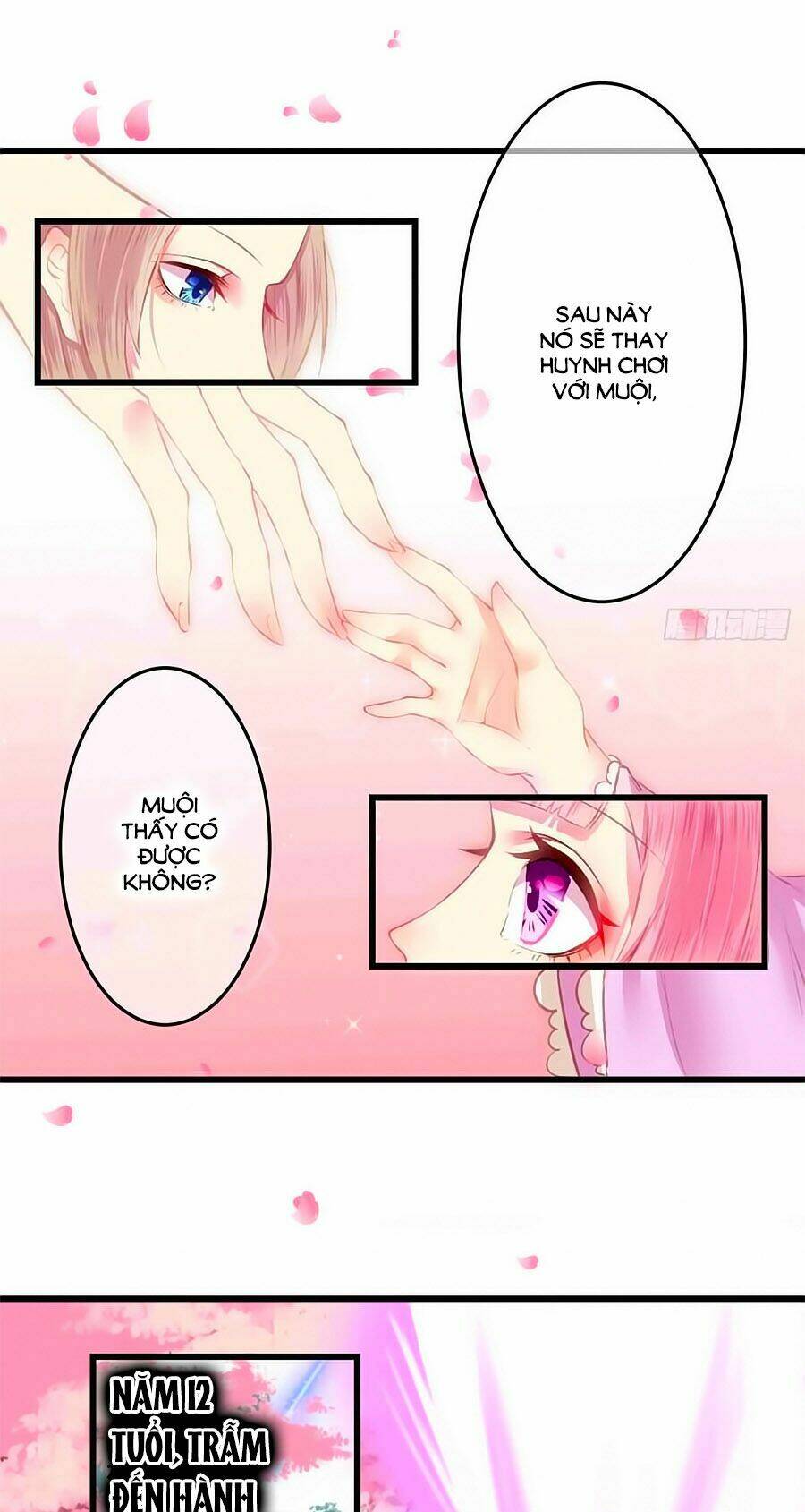 trẫm quyết định giải tán hậu cung chapter 2 4