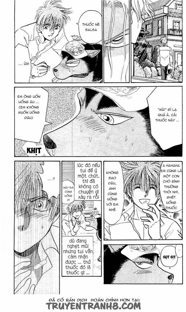 wild half chapter 10 9