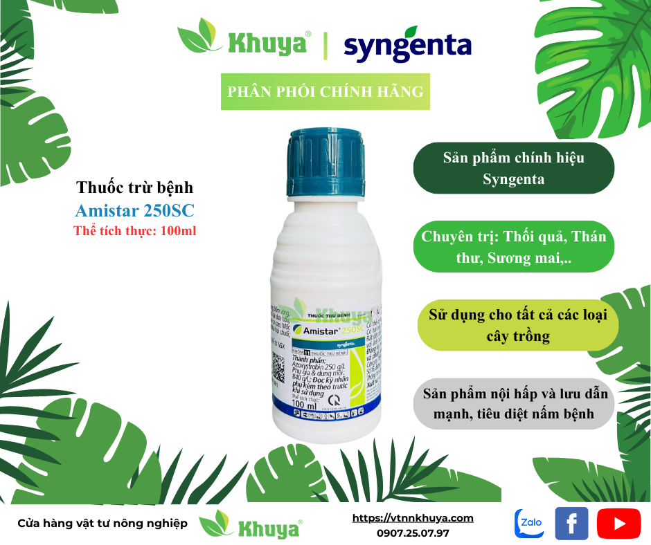 Thuốc trừ bệnh Amistar 250SC 100ml chính hãng Syngenta