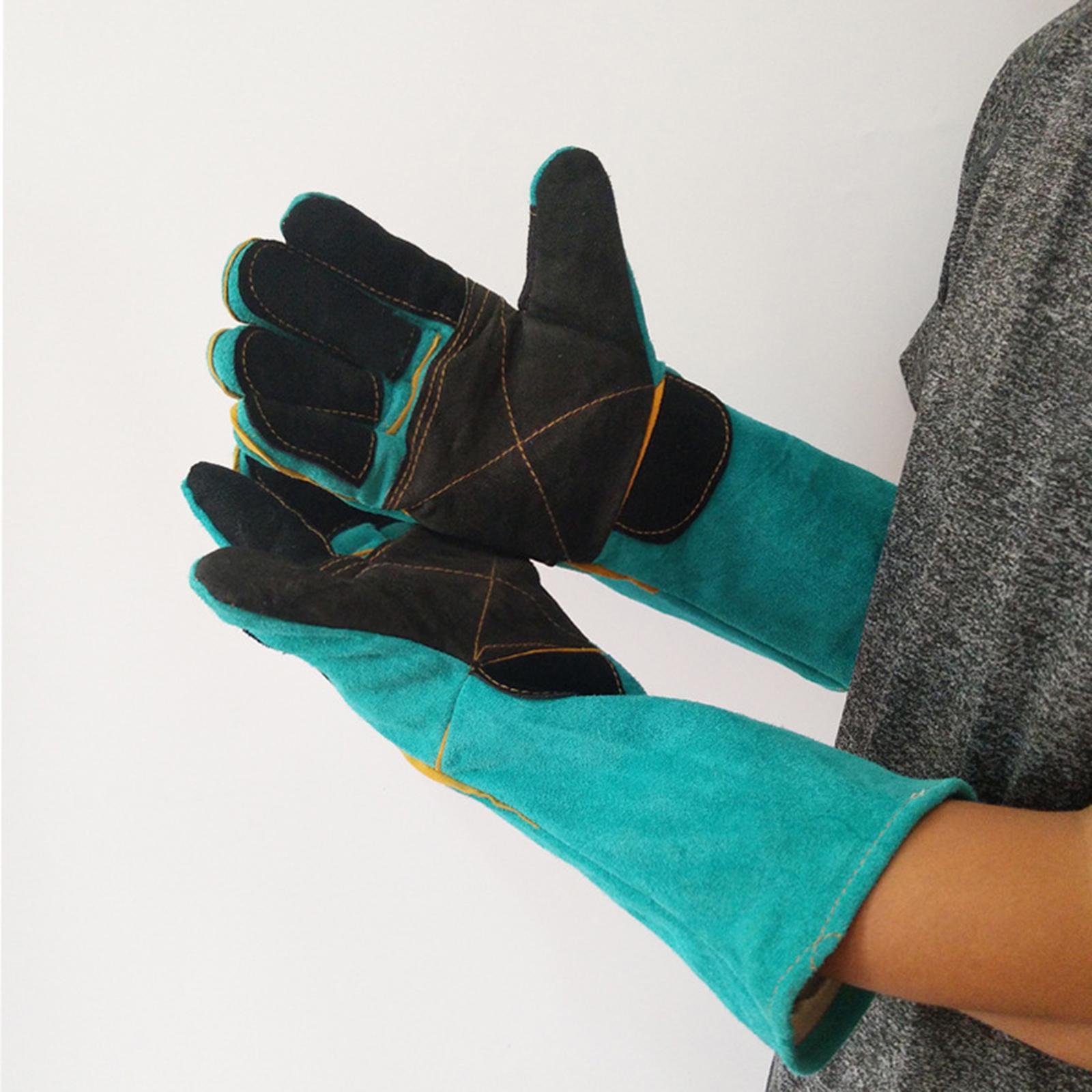 Pet Bite Resistant Gloves Animal Handling Gloves Training Gloves - Chăm sóc thú cưng Pet Bite Resistant Gloves Animal Handling Gloves Training Gloves - Chăm sóc thú cưng