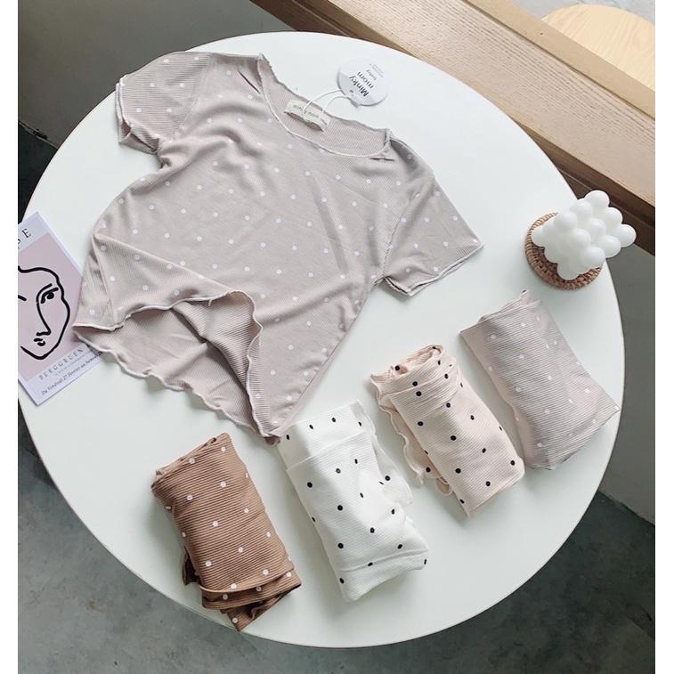 Bộ cotton co dãn cho bé 7-20kg