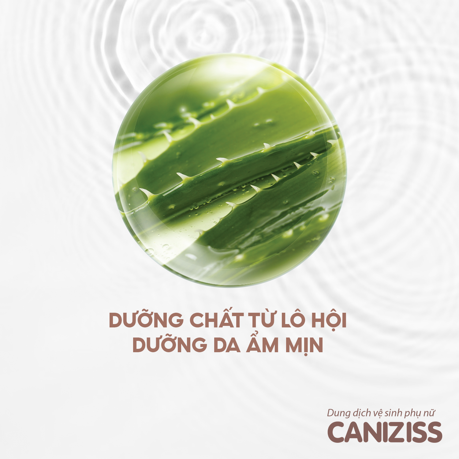 Dung Dịch Vệ Sinh Phụ Nữ Caniziss Khử Mùi Hôi, Giúp Làm Sạch Nhẹ Nhàng, Duy Trì Độ Ẩm Và pH Tự Nhiên Cho Da Chai 120ml