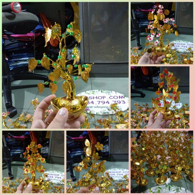 Cây kim tiền tài lộc,cành vàng lá ngọc nhìu mẫu 15cm phk shop