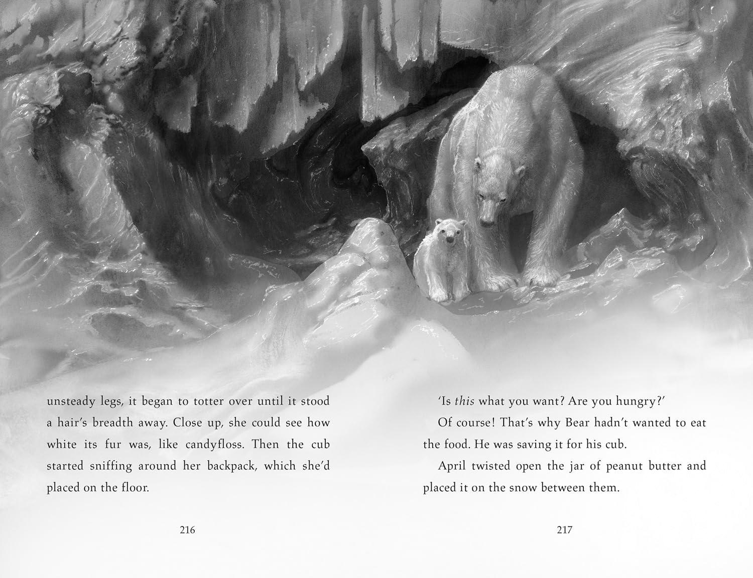 Sách ngoại văn: Finding Bear