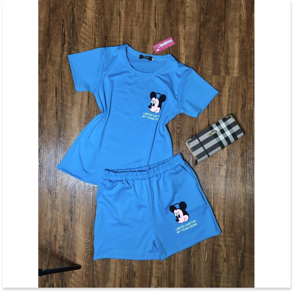 Set áo thun nữ quần đùi nữ cotton