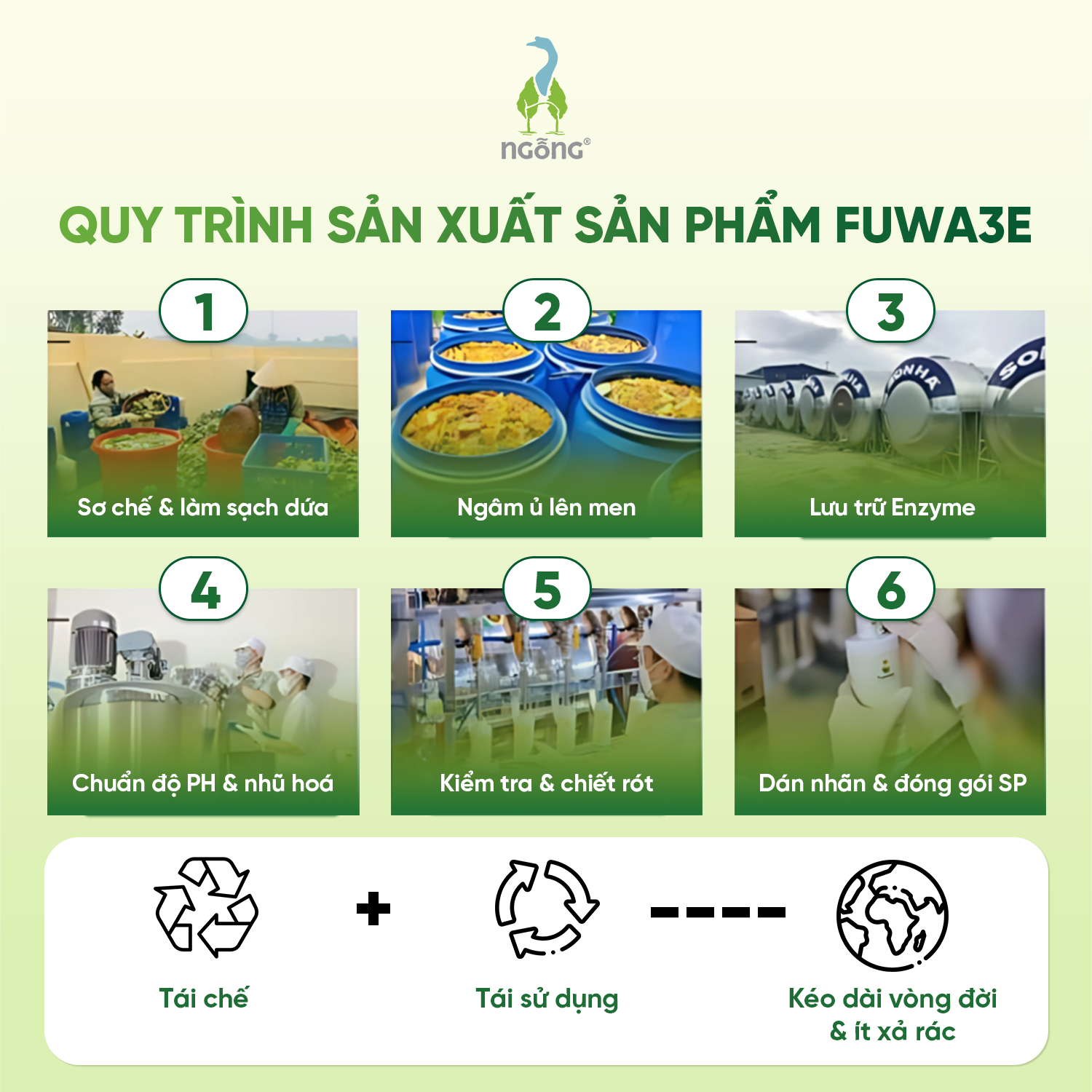 Combo Nhà Sạch Đón Xuân Fuwa3e Lau Đa Năng Lau Sàn Nước Rửa Chén - Đón Tết Về Nhà, Trang Hoàng Sạch Tươi