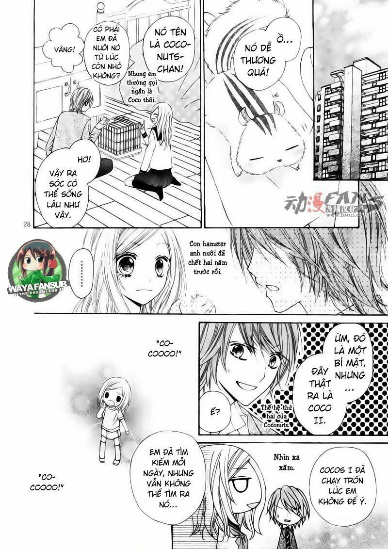 stardust wink chapter 1 31