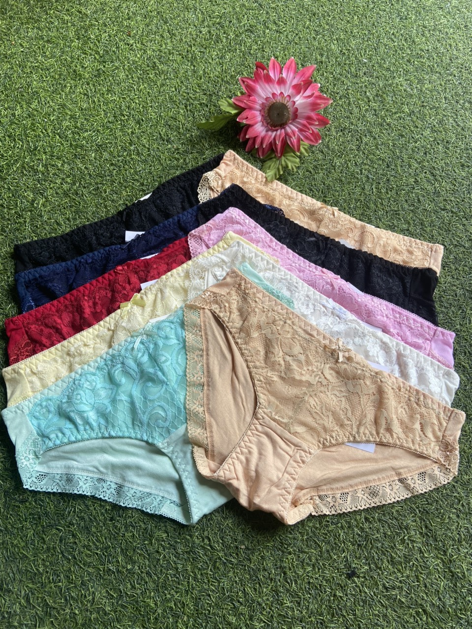 Combo 10 Quần Lót Nữ Cotton Ren Đùi Size M từ 45 - 48kg tùy chiều cao